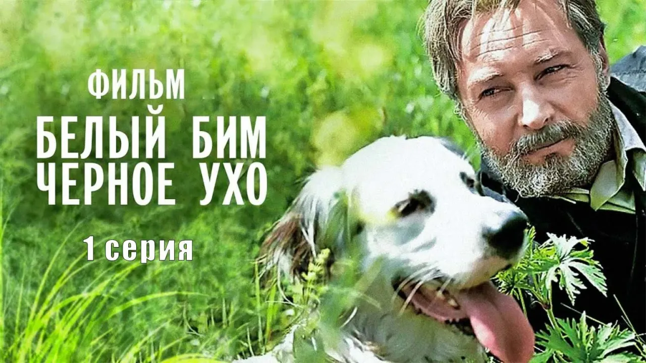 Белый Бим Черное Ухо — смотреть онлайн